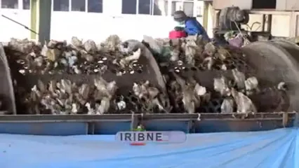 پشت پرده بوی نامطبوع جنوب تهران؛ علت اصلی فاش شد