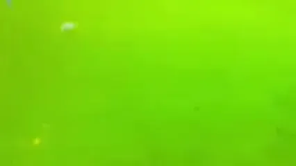 ویدئو: درگیری بازیکنان از زاویه دید دوربین داور