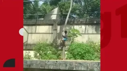 ببینید؛ تصاویر دلخراش از حمله مرگبار شیر ماده به پسر ۱۹ ساله در برزیل