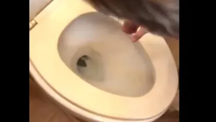 غافلگیری ترسناک یک کودک در چاه توالت!