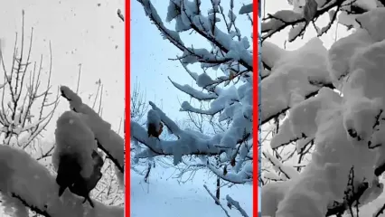 فیلم شدت گرفتن بارش برف در کوهرنگ