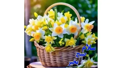 فال و طالع بینی امروز 4 دی