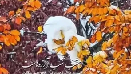 دعای ویژه برای شما عزیزان در شب آرزوها