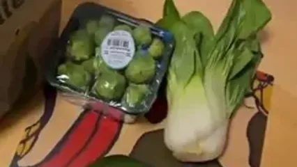 راهکار فنلاند برای جلوگیری از اصراف میوه و سبزیجات