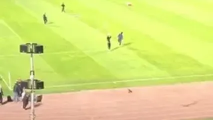 استقبال بی‌نظیر تبریزی‌ها از علیرضا بیرانوند