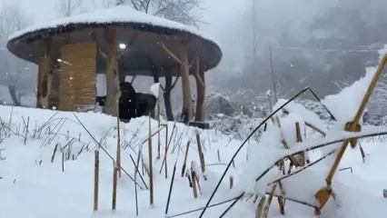 غذای روستایی در آذربایجان؛ پخت غذا با خرگوش و سبزیجات در کوهستانی برفی