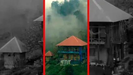 فیلم هوای مه آلود در جنگل های گیلان