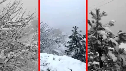 فیلم سپیدپوش شدن ماسوله پس از بارش برف