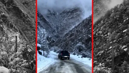 فیلم پاییز برفی در کلاردشت