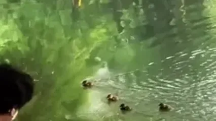 پل‌هایی که در آب کامل می‌شوند؛ شاعرانه‌ترین دریاچه چین