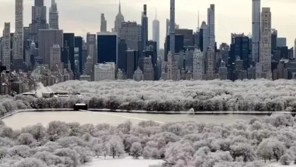 فیلم منظره زمستانی پارک مرکزی نیویورک