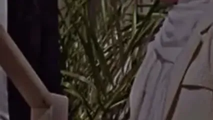 سریال های مشترک مریم مومن و سهیل قاصدی | از نسترن و سعید تا واقعیت ...