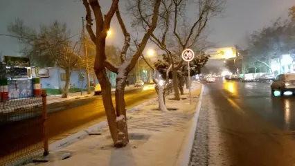 سفیدپوشی مشهد چشم نواز