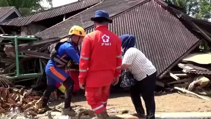 نجات گربه‌‌ای پس از یک هفته از زیر آوار