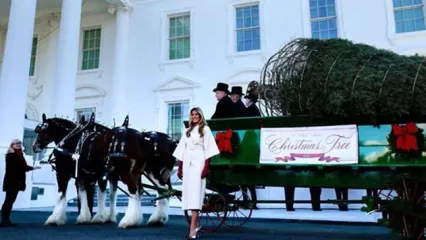 همسران بایدن و ترامپ کریسمس کاخ سفید را چگونه تزئین کردند؟
