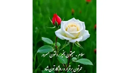 تعبیر فال و طالع بینی امروز 5 دی 1404