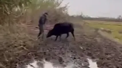 روزگار متفاوت قهرمان ایرانی دور از تشک کشتی