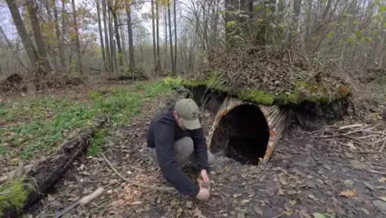 مراحل دیدنی ساخت یک پناهگاه در زیر یک درخت در جنگل های اوکراین