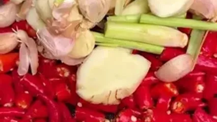 غذای روستایی در کامبوج؛ پخت خوراک با حلزون و فلفل قرمز در روستا