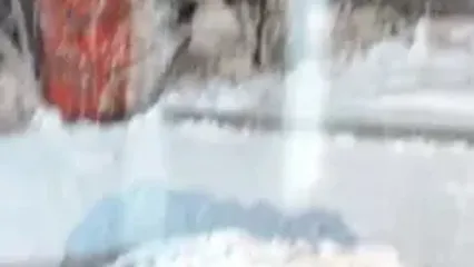 تصاویری از بارش شدید برف در مراغه