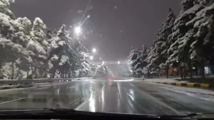 بارش برف، شهر مشهد را سفیدپوش کرد