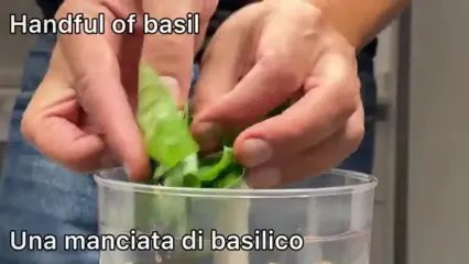 پخت یک غذای متفاوت با بادمجان و سس گوجه فرنگی