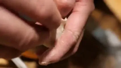 غذای خیابانی در آمریکا؛ پخت اردک به روش سنتی چینی در نیویورک