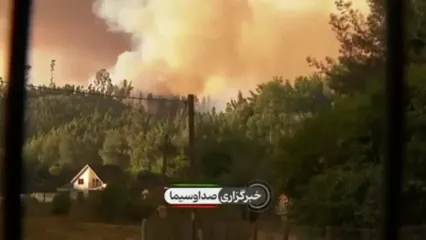 ۱۸ جانباخته در آتش‌سوزی جنگلی در شیلی