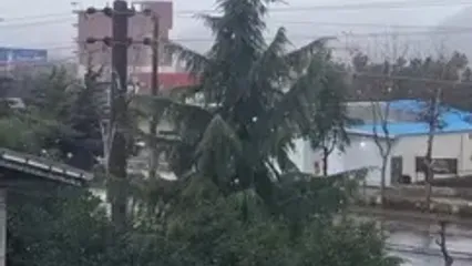 تصاویری از بارش اولین برف زمستانی در شهر آستارا