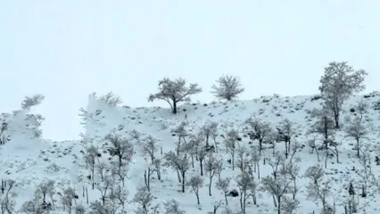 گچساران برفی / زیبایی زمستان در روستای گناوه لری
