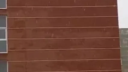 هم اکنون آغاز بارش برف در پردیس تهران