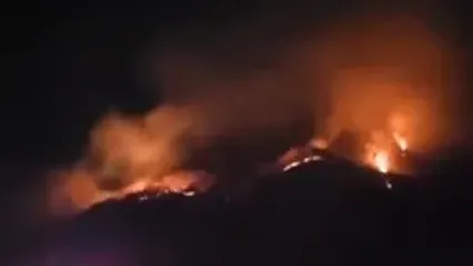 آتش‌سوزی مهیب در کره جنوبی ده‌ها هکتار را به خاکستر تبدیل کرد