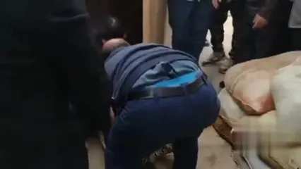 حضور ناگهانی پلنگ در حیاط خانه روستایی گیلان؛ فیلم منتشر شد