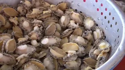 غذای خیابانی در تایوان؛ پخت یک غذای محبوب با خرچنگ و صدف در تایپه