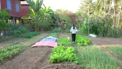 غذای روستایی در کامبوج؛ پخت 4 مدل غذا با ماهی آب شیرین