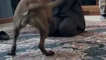 ببینید خانم بازیگر سریال ستایش در یک شرایط ترسناک