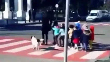 فیلم کمک دیدنی یک سگ به کودکان برای عبور از خیابان