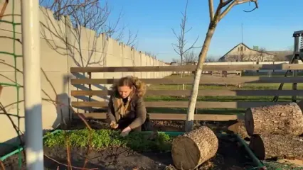 غذای روستایی در اوکراین؛ پخت بره کامل با سبزیجات در روغن