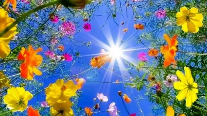 فال امروز 19 بهمن