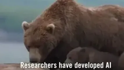 هوش مصنوعی برای خرس‌های آلاسکایی شناسنامه صادر می‌کند