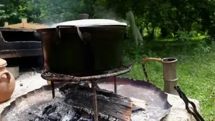 غذای روستایی در آذربایجان؛ برداشت توت فرنگی و تهیه شربت، کمپوت و کیک با آن