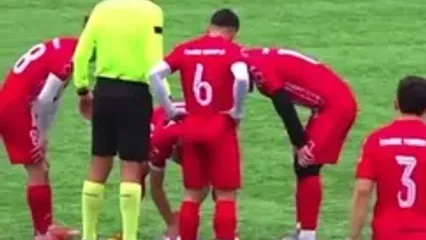 برخورد اتفاقی توپ به مرغ دریایی در یک مسابقه فوتبال در استانبول