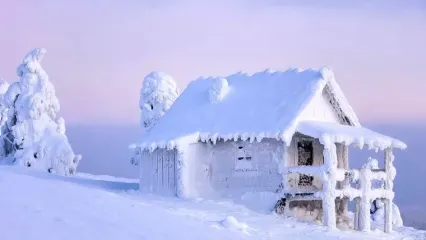 فیلم کمپینگ و ساخت پناهگاه و پخت خوراک گوشت روی هیزم