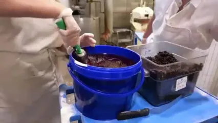 غذای خیابانی در آمریکا؛ پخت کوکی با مربای تمشک و شکلات در شیکاگو