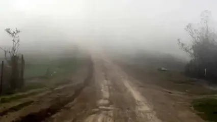 فیلم ییلاق شاه رسول تالش