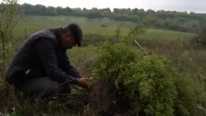 غذای روستایی در آذربایجان؛ تهیه پنیر محلی با شیر تازه بز در روستایی زیبا