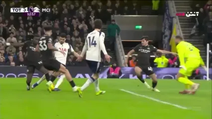 خلاصه بازی تاتنهام 2 - منچسترسیتی 2