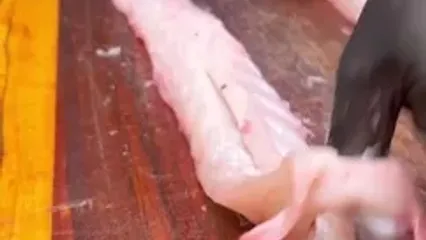 غذای خیابانی در ایران؛ کباب ماهی هامور با سس مخصوص