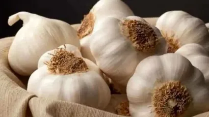 دستور تهیه سیر له‌ شده با عسل | اکسیر طبیعی سلامتی