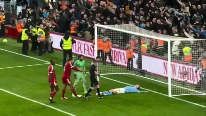 ویدئو: آغوش ممنوعه هوادار سیتی برای هالند